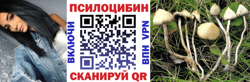 сайты даркнета клад  Смоленск  Галлюциногенные грибы прущие грибы 